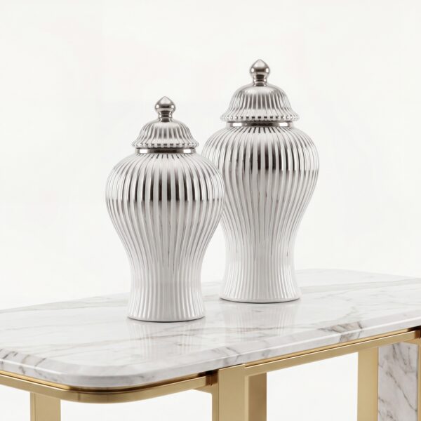 RENOVA GINGER JAR SET OF 2 PCS